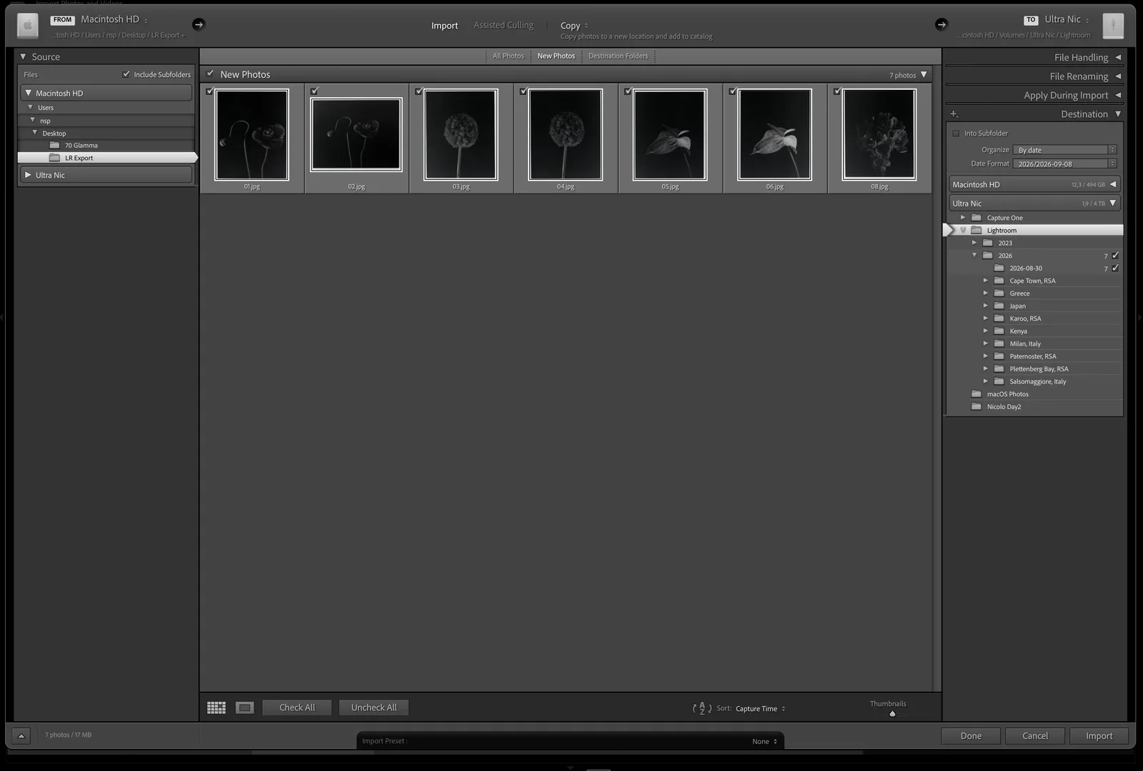Lightroom's import dialog with the folder of tagged scans selected.
